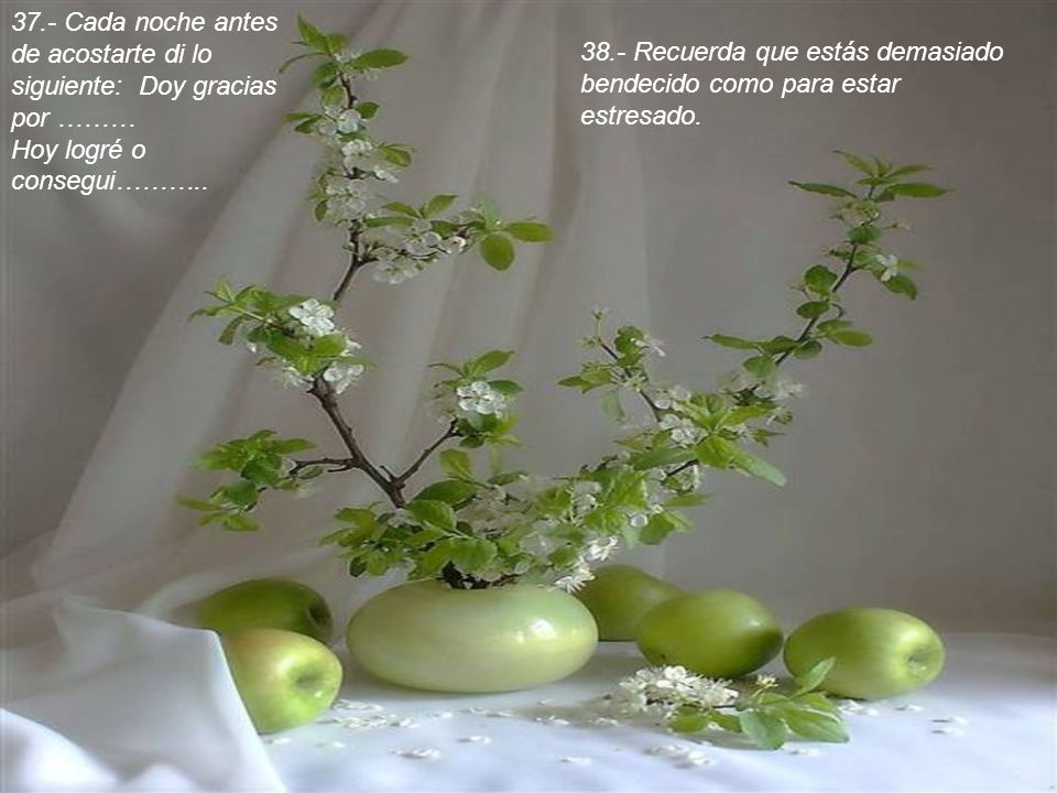 37.- Cada noche antes de acostarte di lo siguiente: Doy gracias por ……… Hoy logré o consegui………..