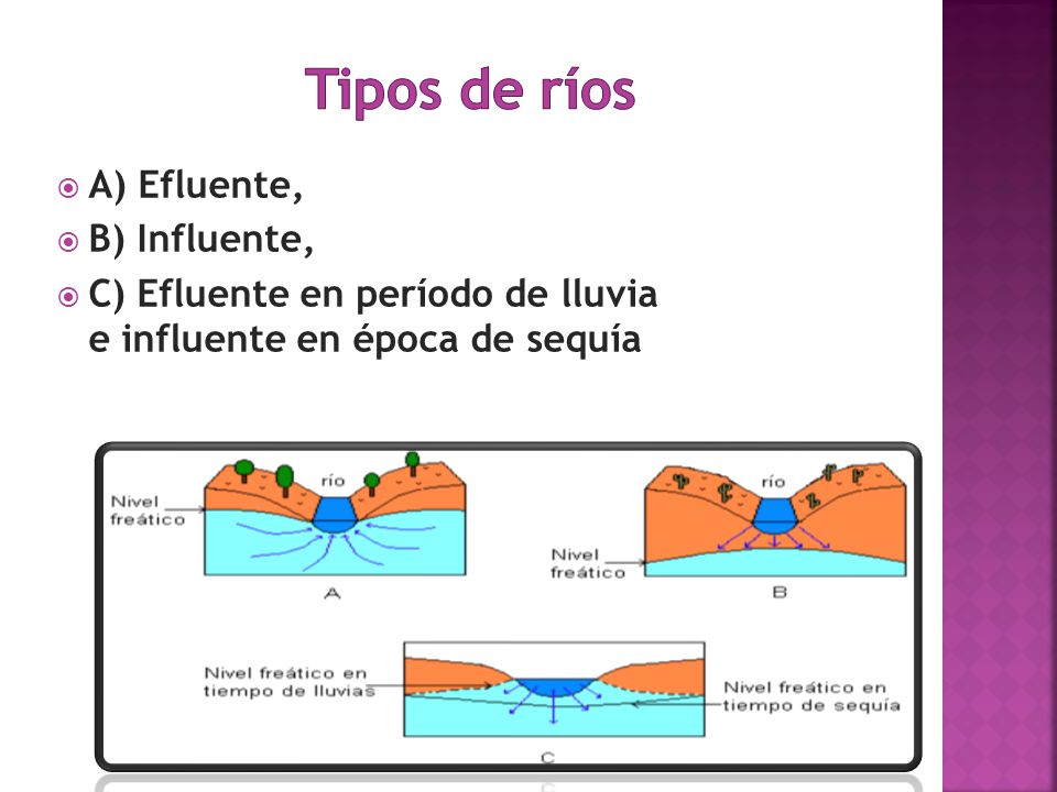 Tipos de ríos A) Efluente, B) Influente,