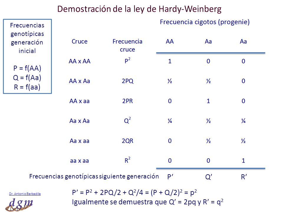 Demostración de la ley de Hardy-Weinberg