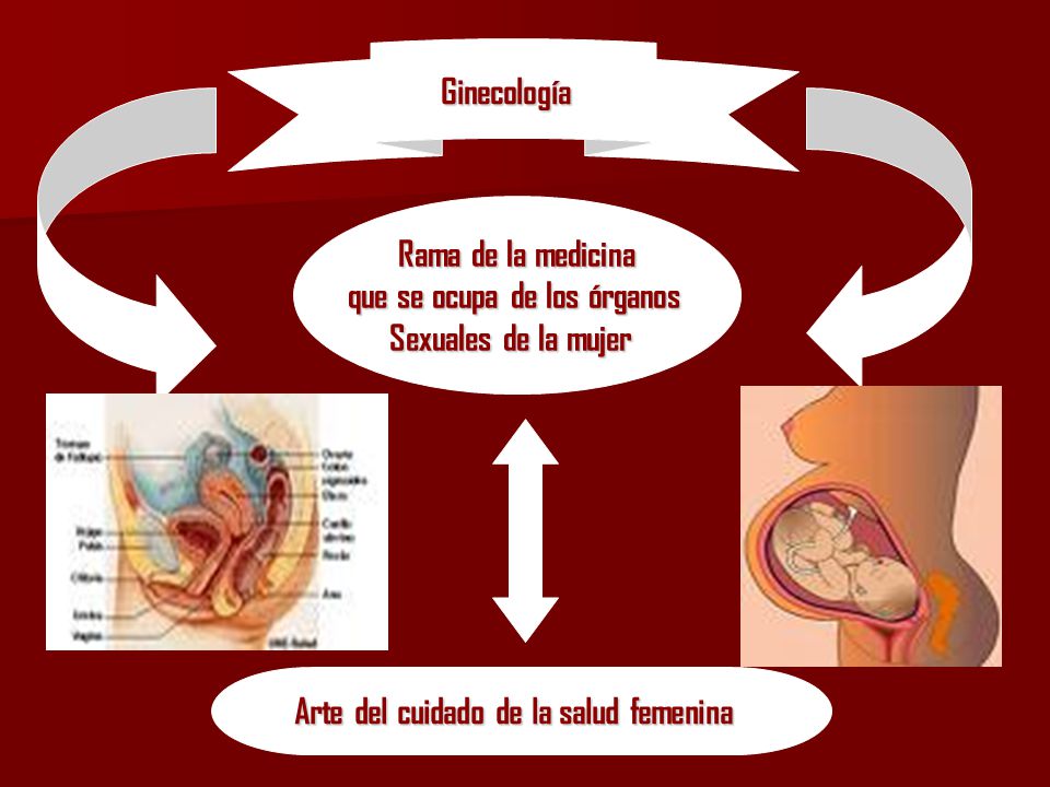 que se ocupa de los órganos Arte del cuidado de la salud femenina