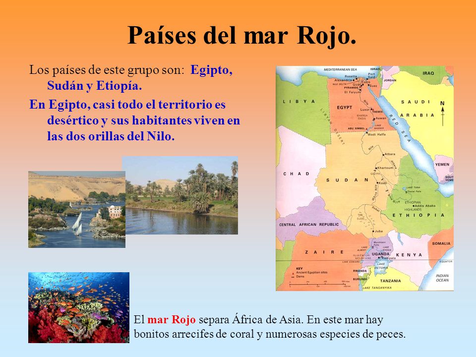 Países del mar Rojo. Los países de este grupo son: Egipto, Sudán y Etiopía.