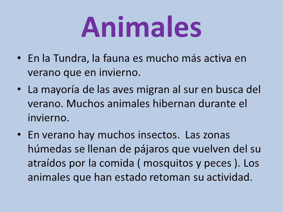 Animales En la Tundra, la fauna es mucho más activa en verano que en invierno.
