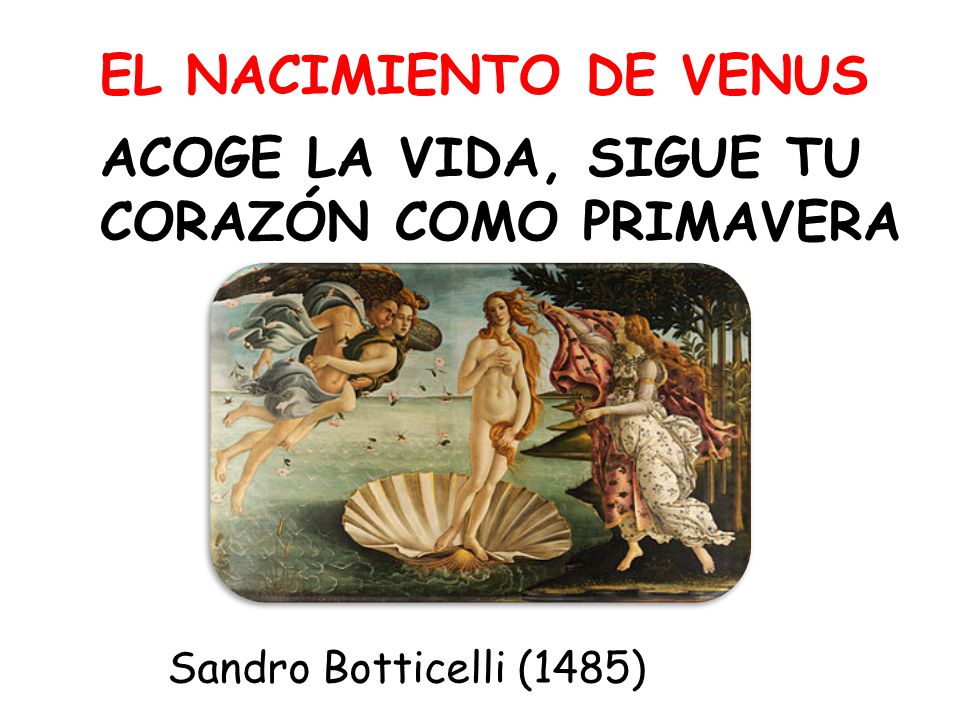 ACOGE LA VIDA, SIGUE TU CORAZÓN COMO PRIMAVERA