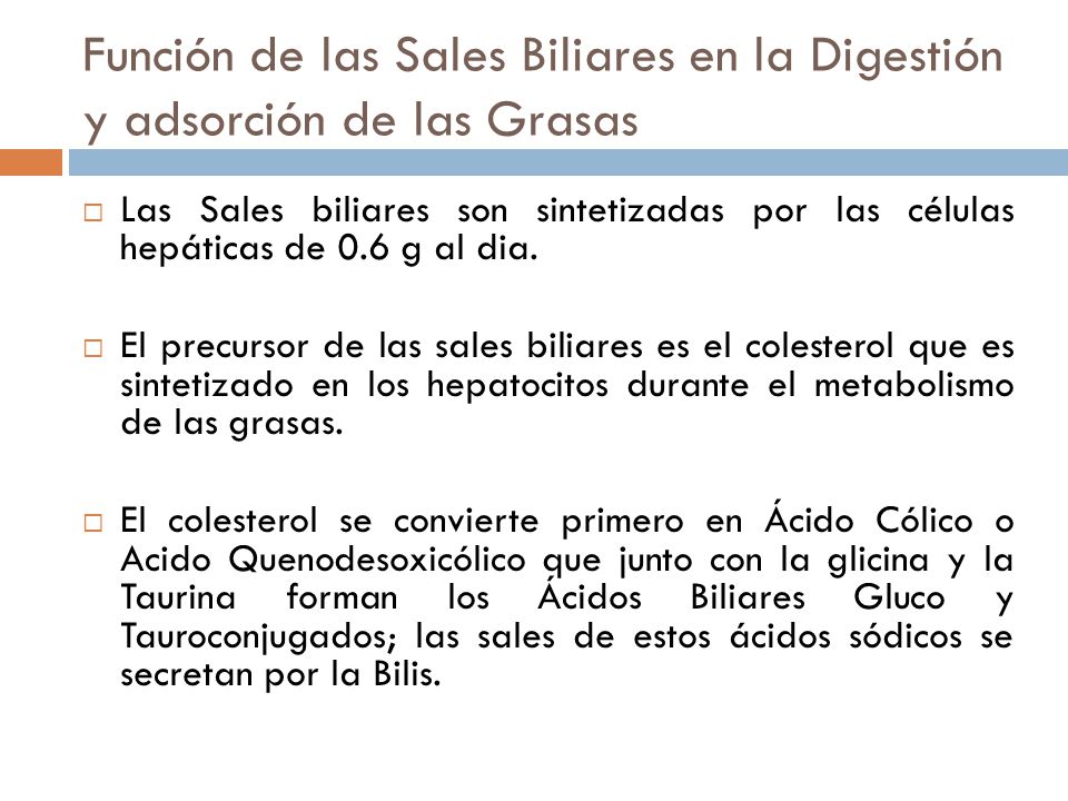 Función de las Sales Biliares en la Digestión y adsorción de las Grasas