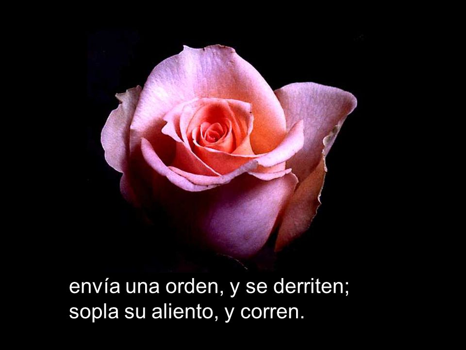 envía una orden, y se derriten; sopla su aliento, y corren.