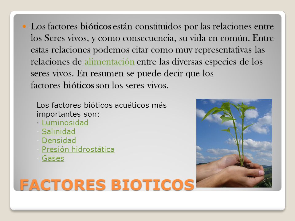 Los factores bióticos están constituidos por las relaciones entre los Seres vivos, y como consecuencia, su vida en común. Entre estas relaciones podemos citar como muy representativas las relaciones de alimentación entre las diversas especies de los seres vivos. En resumen se puede decir que los factores bióticos son los seres vivos.