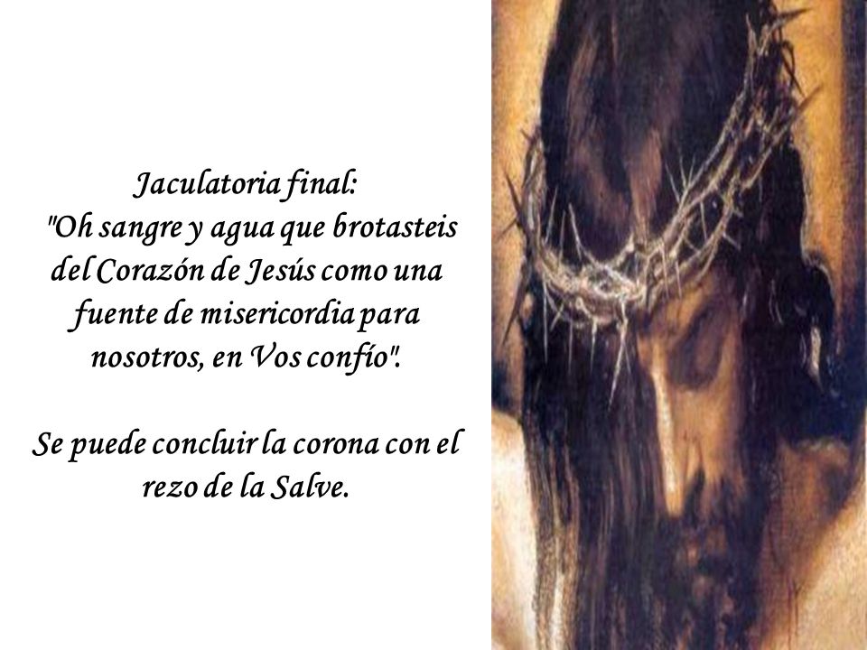 Se puede concluir la corona con el rezo de la Salve.