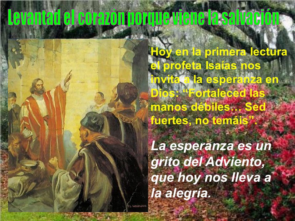 Levantad el corazón porque viene la salvación