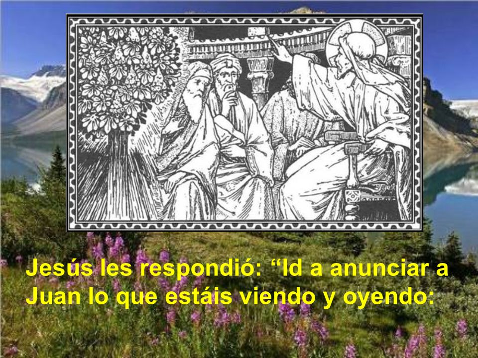 Jesús les respondió: Id a anunciar a Juan lo que estáis viendo y oyendo: