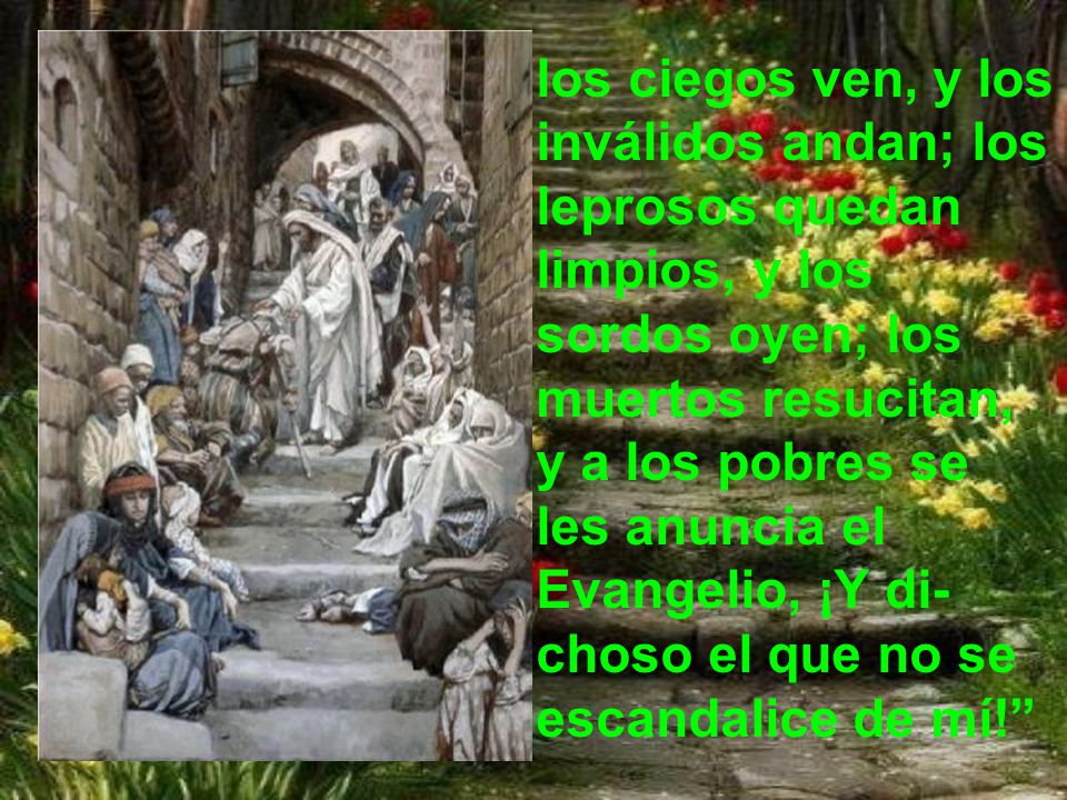 los ciegos ven, y los inválidos andan; los leprosos quedan limpios, y los sordos oyen; los muertos resucitan, y a los pobres se les anuncia el Evangelio, ¡Y di-choso el que no se escandalice de mí!