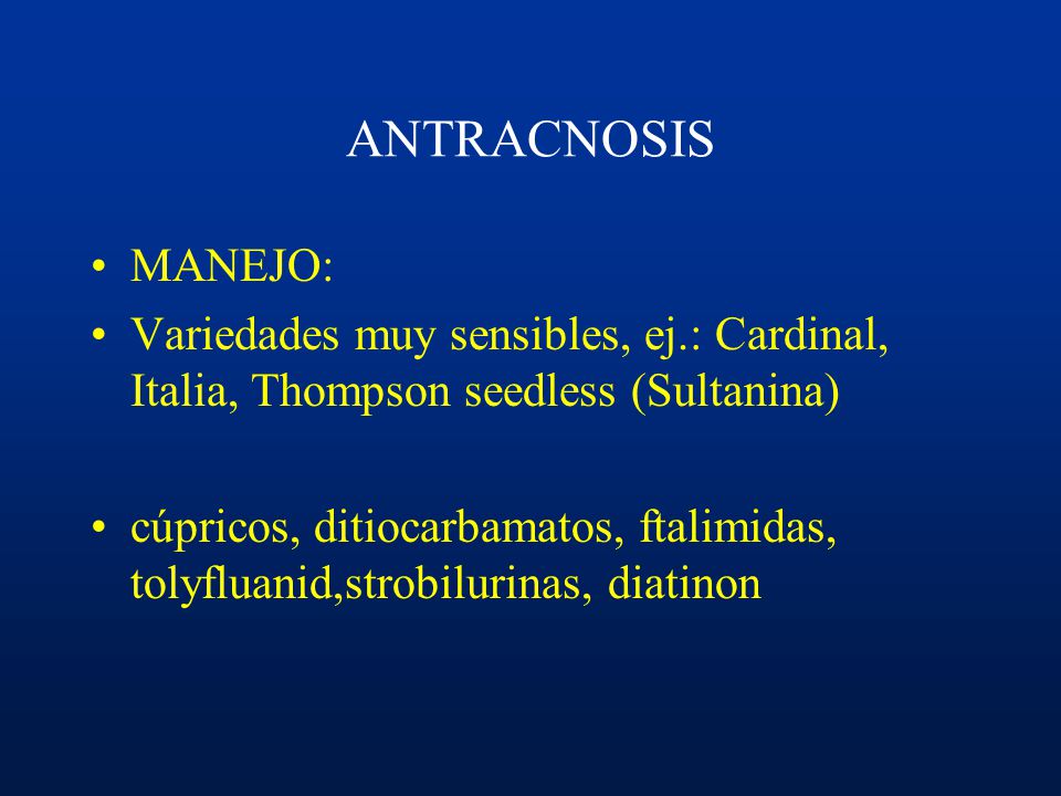 ANTRACNOSIS MANEJO: Variedades muy sensibles, ej.: Cardinal, Italia, Thompson seedless (Sultanina)
