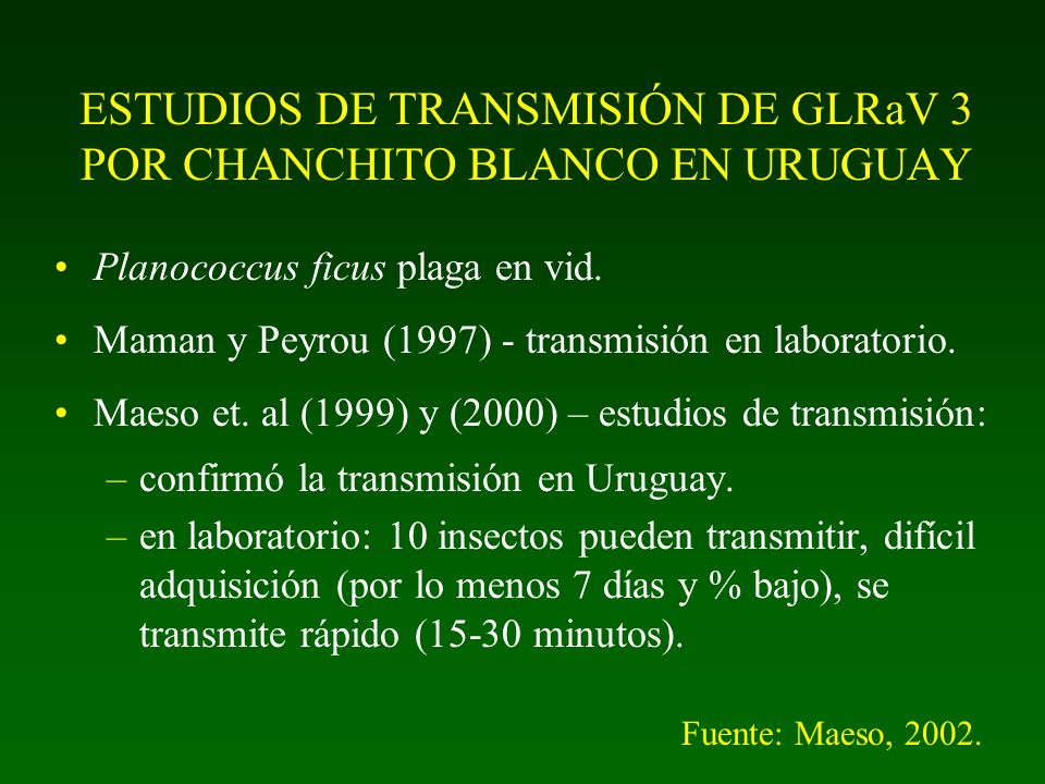 ESTUDIOS DE TRANSMISIÓN DE GLRaV 3 POR CHANCHITO BLANCO EN URUGUAY