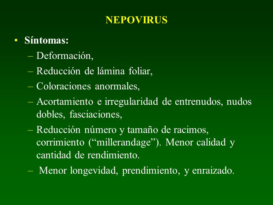 NEPOVIRUS Síntomas: Deformación, Reducción de lámina foliar, Coloraciones anormales,