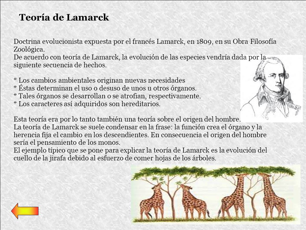 Teoría de Lamarck Doctrina evolucionista expuesta por el francés Lamarck, en 1809, en su Obra Filosofía Zoológica.