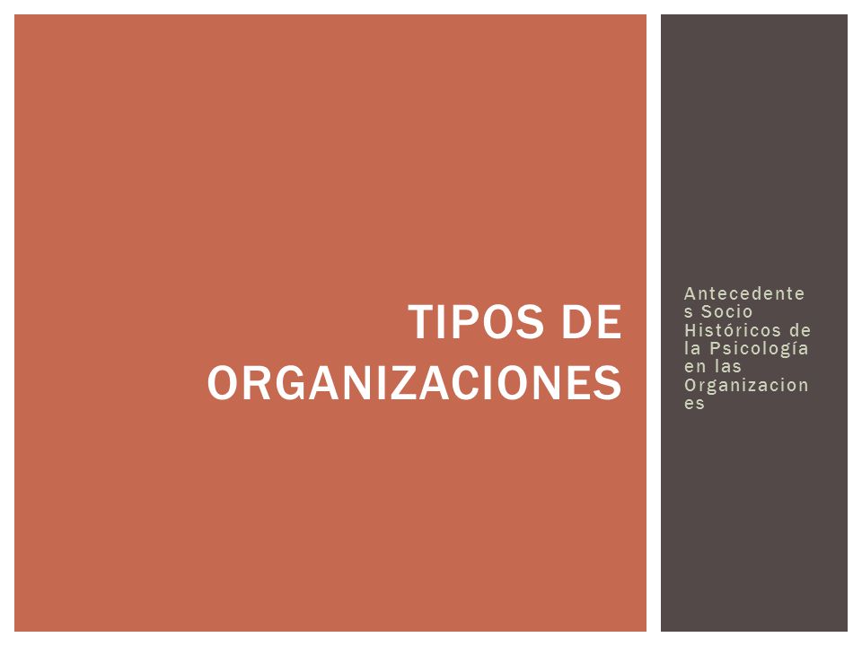 Tipos de organizaciones
