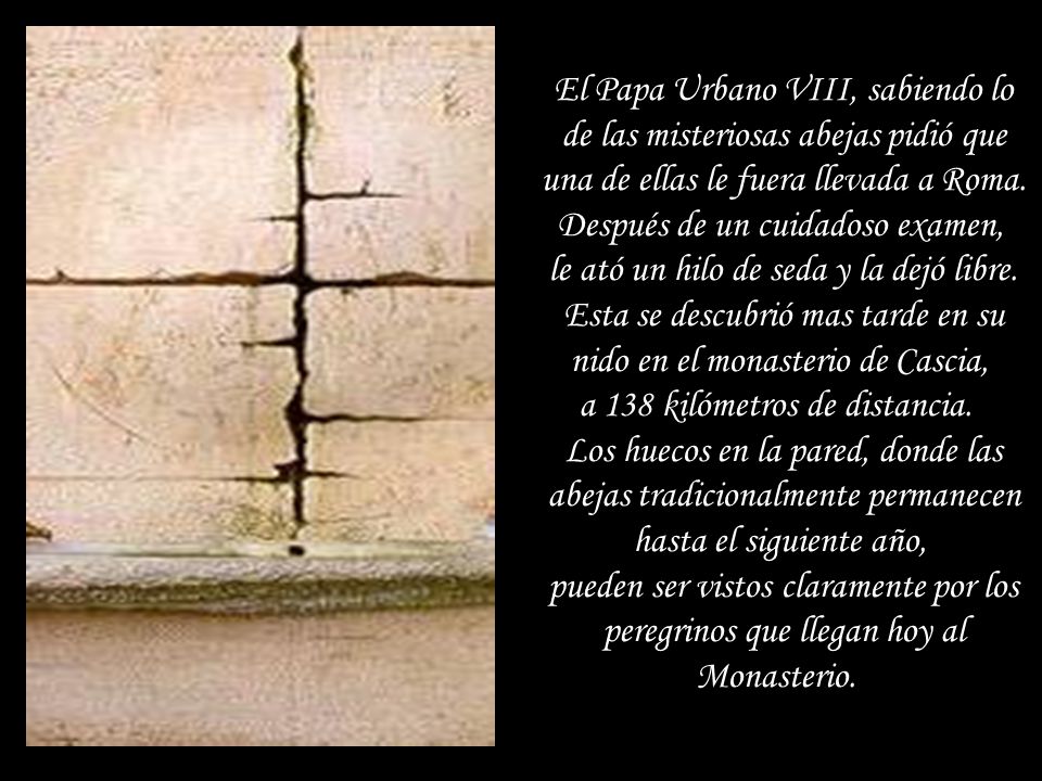 El Papa Urbano VIII, sabiendo lo de las misteriosas abejas pidió que una de ellas le fuera llevada a Roma.