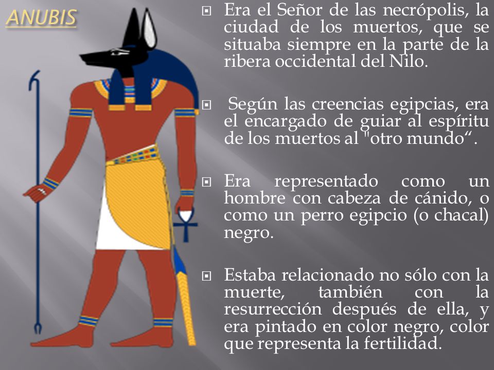 ANUBIS Era el Señor de las necrópolis, la ciudad de los muertos, que se situaba siempre en la parte de la ribera occidental del Nilo.