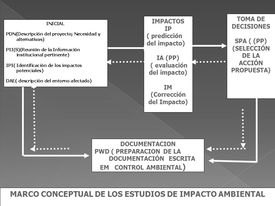 MARCO CONCEPTUAL DE LOS ESTUDIOS DE IMPACTO AMBIENTAL