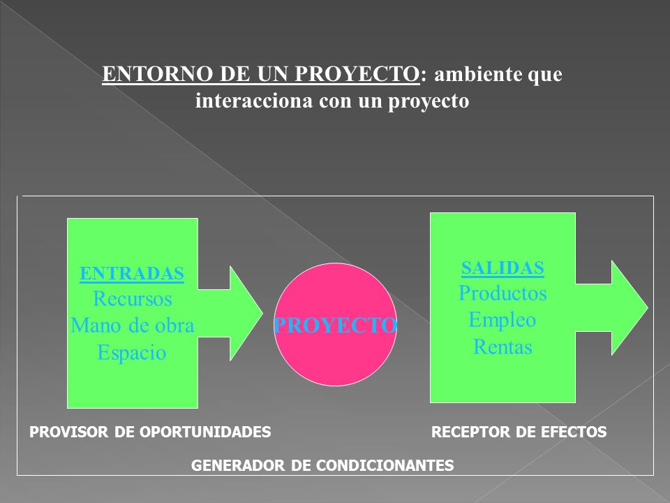 ENTORNO DE UN PROYECTO: ambiente que interacciona con un proyecto