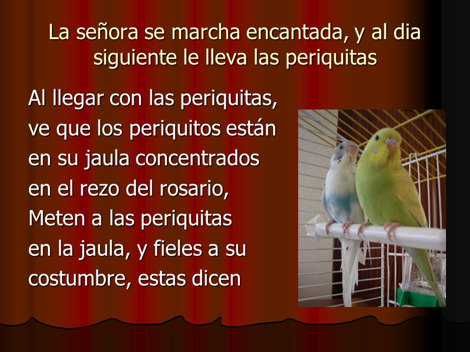 La señora se marcha encantada, y al dia siguiente le lleva las periquitas