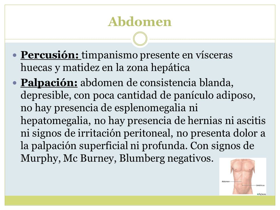 Abdomen Percusión: timpanismo presente en vísceras huecas y matidez en la zona hepática.