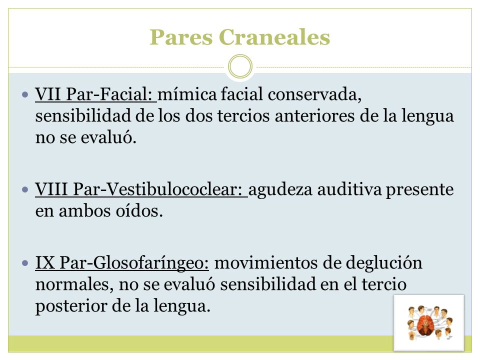 Pares Craneales VII Par-Facial: mímica facial conservada, sensibilidad de los dos tercios anteriores de la lengua no se evaluó.