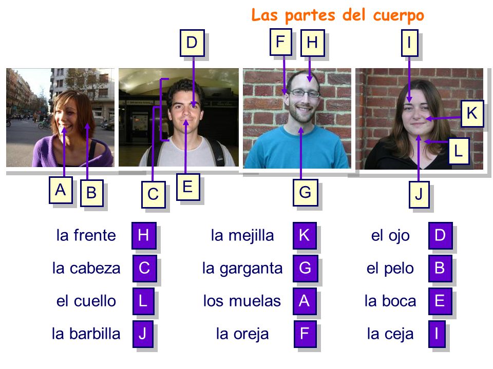 Las partes del cuerpo D F H I K L E A B C G J la frente H la mejilla K