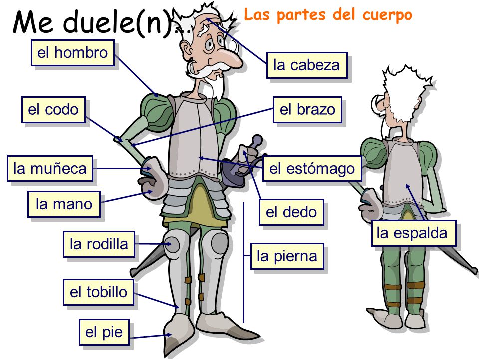 Me duele(n)… Las partes del cuerpo el hombro la cabeza el codo