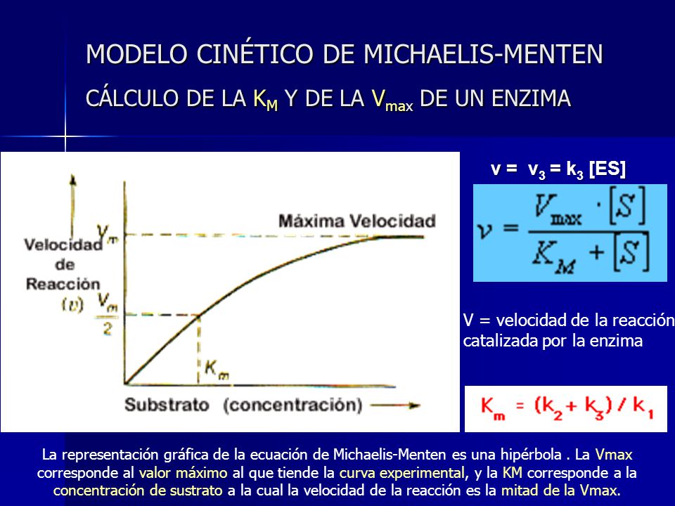 MODELO CINÉTICO DE MICHAELIS-MENTEN CÁLCULO DE LA KM Y DE LA Vmax DE UN ENZIMA