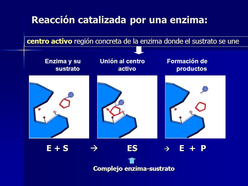 Formación de productos