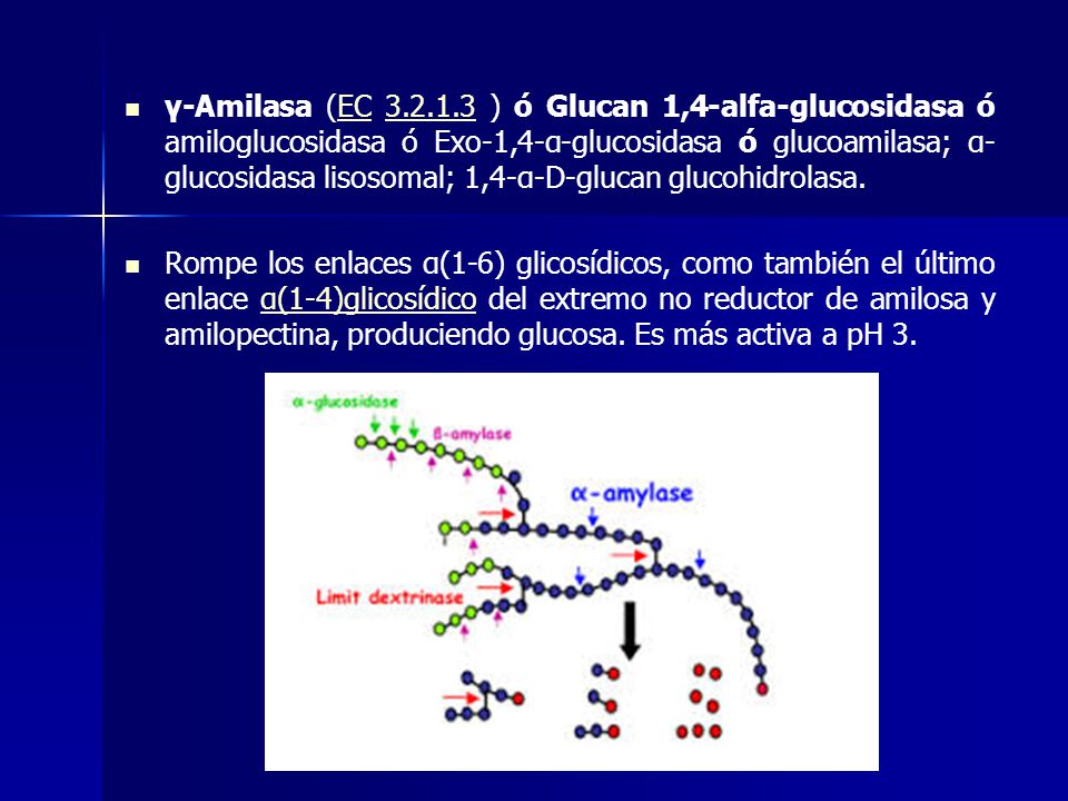 γ-Amilasa (EC ) ó Glucan 1,4-alfa-glucosidasa ó amiloglucosidasa ó Exo-1,4-α-glucosidasa ó glucoamilasa; α-glucosidasa lisosomal; 1,4-α-D-glucan glucohidrolasa.