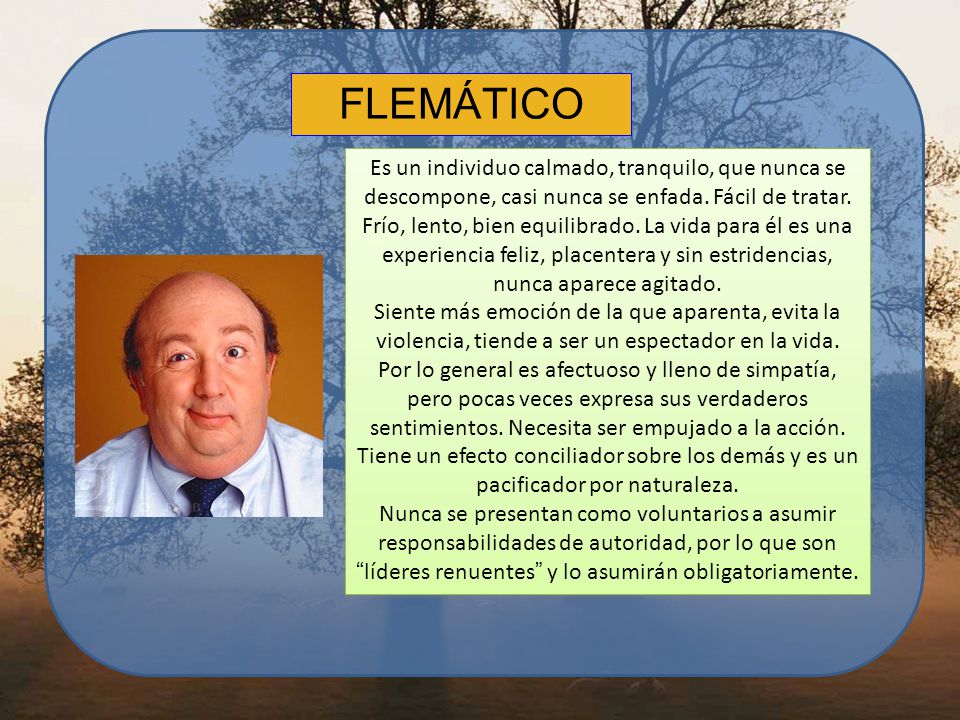 FLEMÁTICO Es un individuo calmado, tranquilo, que nunca se descompone, casi nunca se enfada. Fácil de tratar.