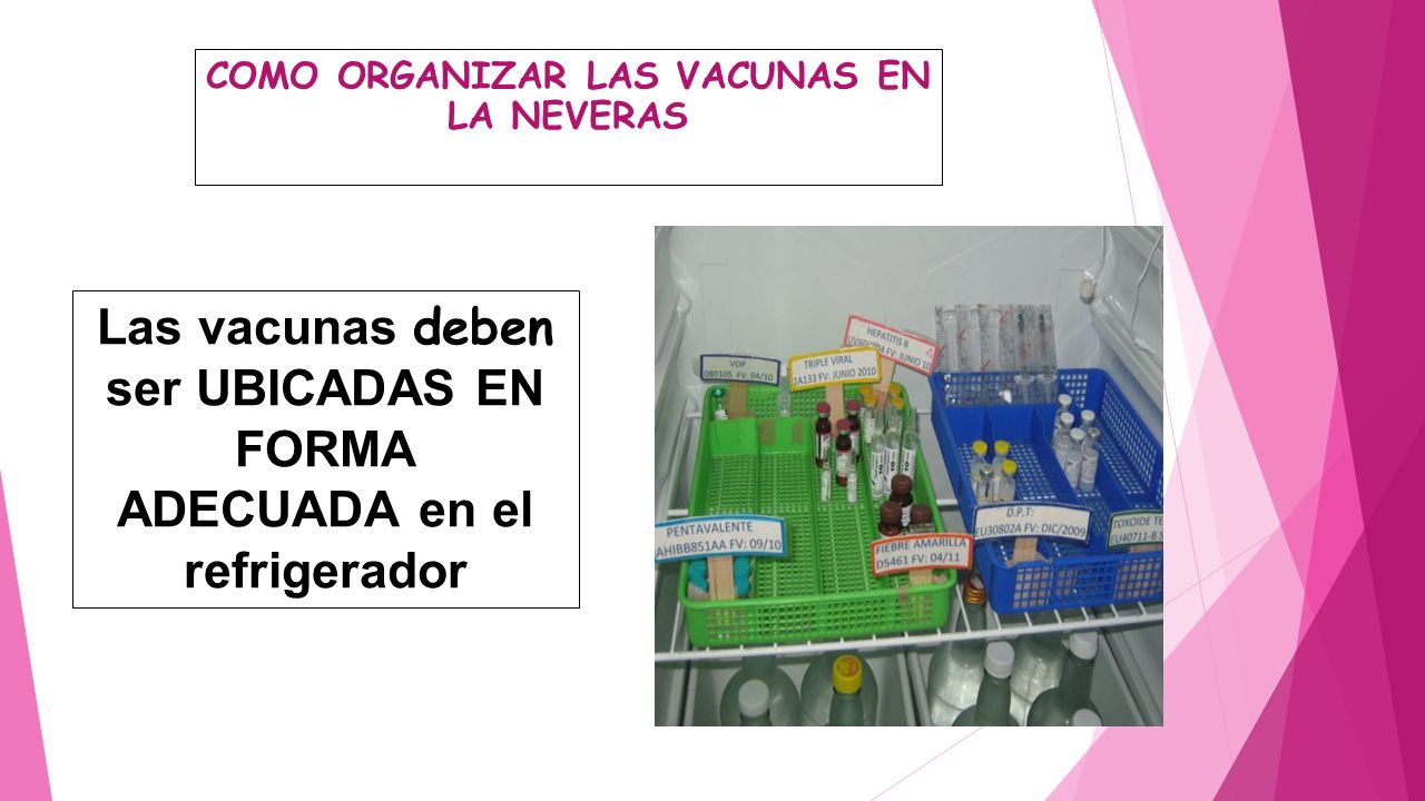 Las vacunas deben ser UBICADAS EN FORMA ADECUADA en el refrigerador