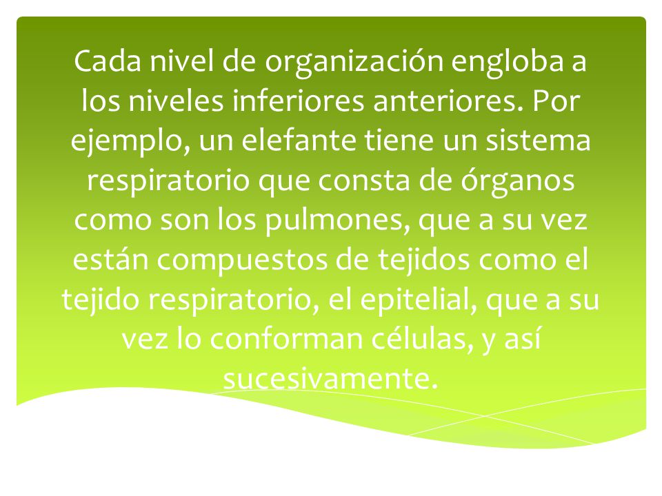 Cada nivel de organización engloba a los niveles inferiores anteriores
