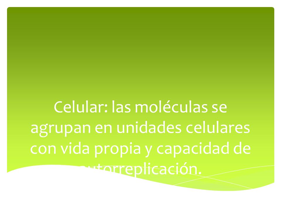 Celular: las moléculas se agrupan en unidades celulares con vida propia y capacidad de autorreplicación.