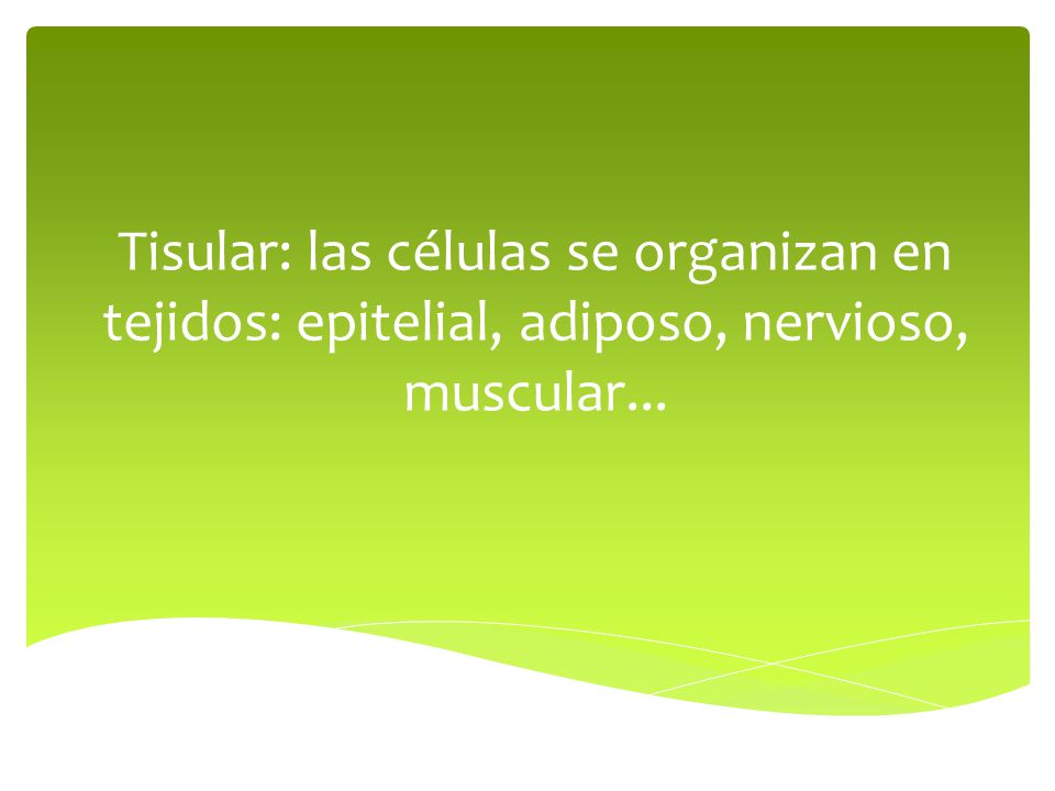 Tisular: las células se organizan en tejidos: epitelial, adiposo, nervioso, muscular...
