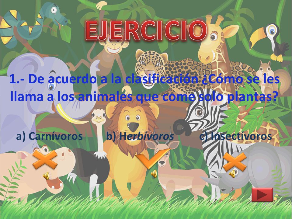 EJERCICIO 1.- De acuerdo a la clasificación ¿Cómo se les llama a los animales que come solo plantas