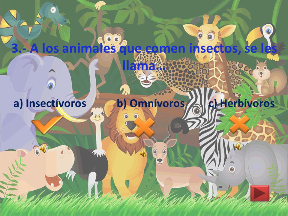 3.- A los animales que comen insectos, se les llama…