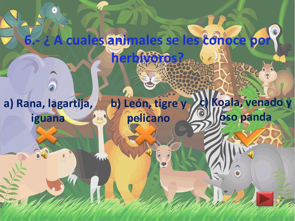 6.- ¿ A cuales animales se les conoce por herbívoros