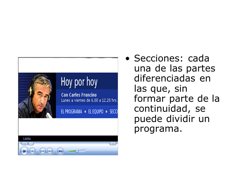 Secciones: cada una de las partes diferenciadas en las que, sin formar parte de la continuidad, se puede dividir un programa.