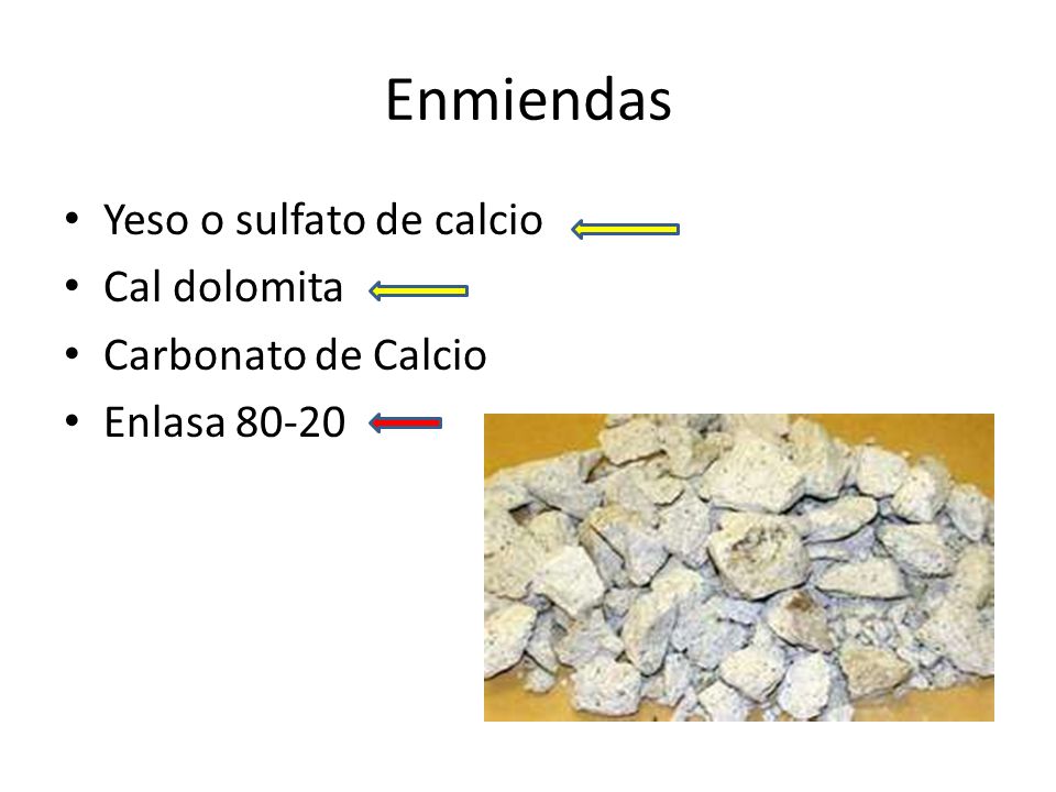 Enmiendas Yeso o sulfato de calcio Cal dolomita Carbonato de Calcio