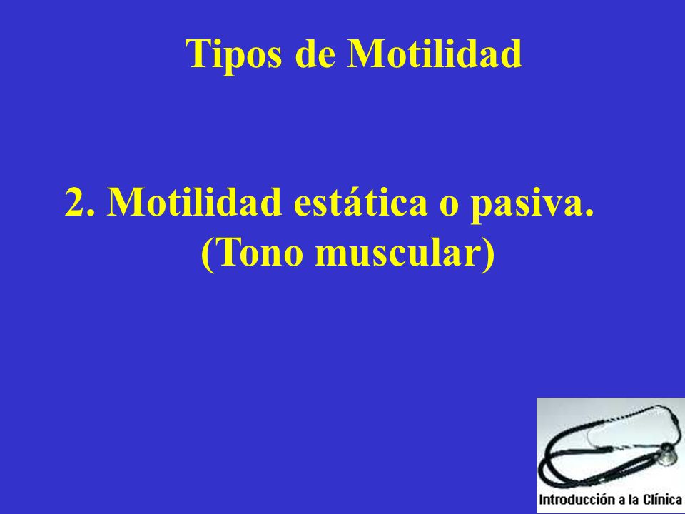 Tipos de Motilidad 2. Motilidad estática o pasiva. (Tono muscular)