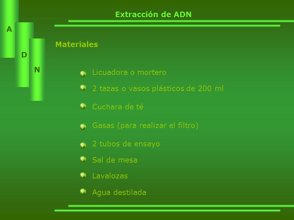 Extracción de ADN Materiales. Licuadora o mortero. 2 tazas o vasos plásticos de 200 ml. Cuchara de té.