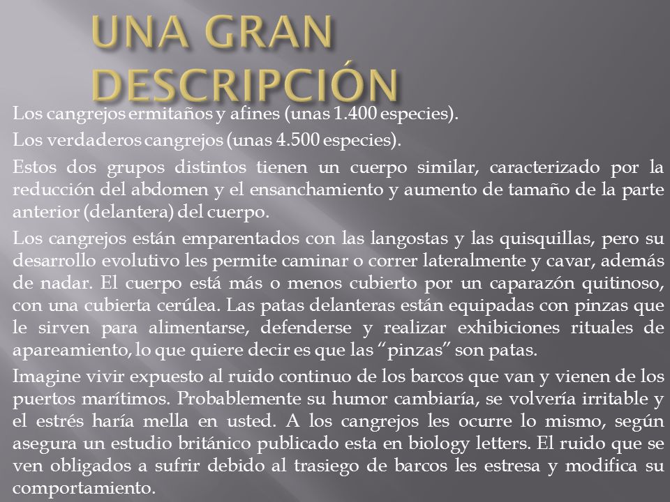 UNA GRAN DESCRIPCIÓN Los cangrejos ermitaños y afines (unas especies). Los verdaderos cangrejos (unas especies).