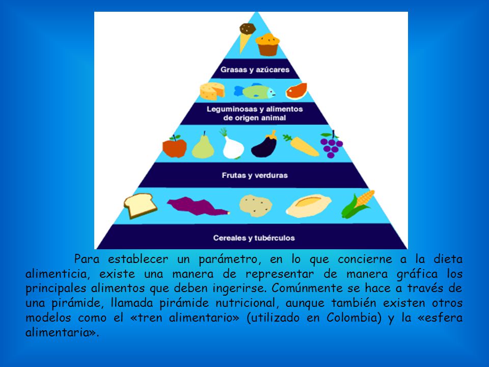 Para establecer un parámetro, en lo que concierne a la dieta alimenticia, existe una manera de representar de manera gráfica los principales alimentos que deben ingerirse.