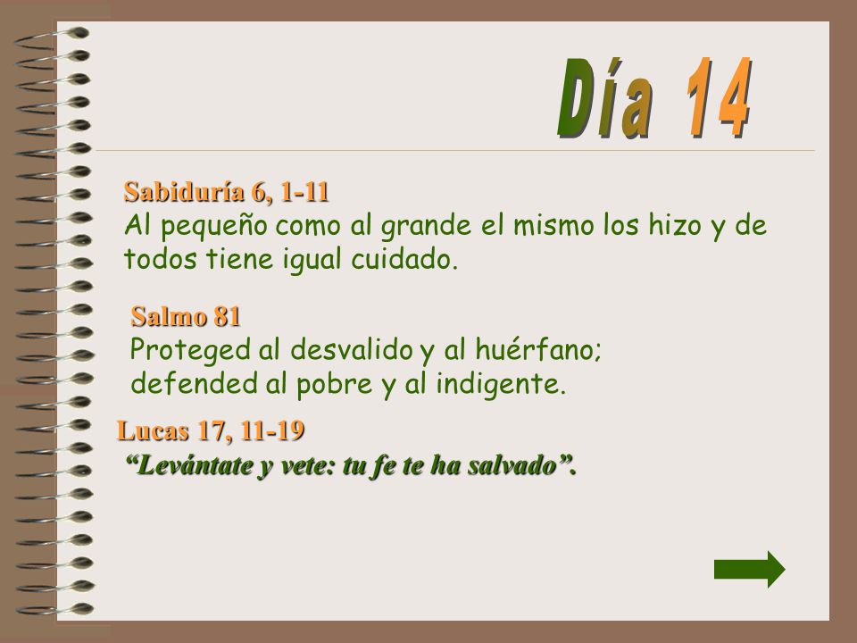 Día 14 Sabiduría 6, 1-11 Al pequeño como al grande el mismo los hizo y de todos tiene igual cuidado.