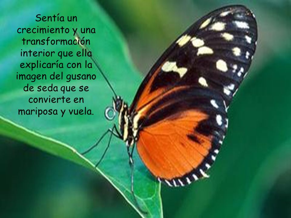 Sentía un crecimiento y una transformación interior que ella explicaría con la imagen del gusano de seda que se convierte en mariposa y vuela.