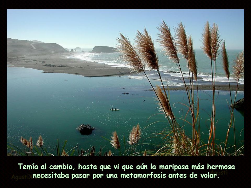 Temía al cambio, hasta que vi que aún la mariposa más hermosa necesitaba pasar por una metamorfosis antes de volar.