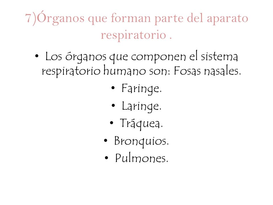 7)Órganos que forman parte del aparato respiratorio .