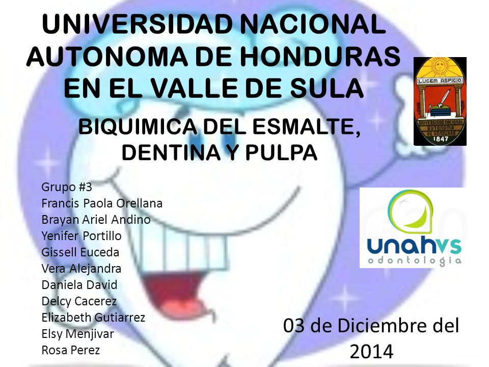 UNIVERSIDAD NACIONAL AUTONOMA DE HONDURAS EN EL VALLE DE SULA